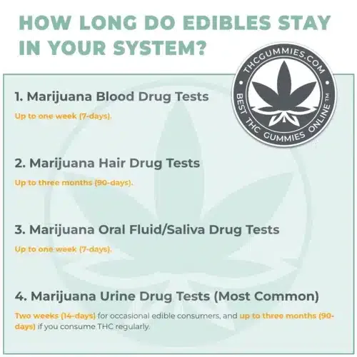 An infographic titled 'how long do edibles stay in your system? ' the infographic provides four time detection windows as the answer as it caters to all four marijuana drug tests (blood, hair, saliva, and urine) and the individual drug tests sensitivity to thc over time.