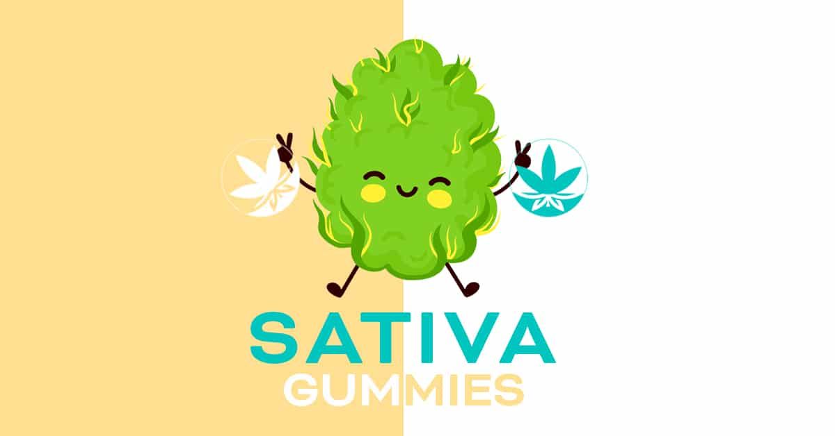 Sativa gummies on white and tan background.