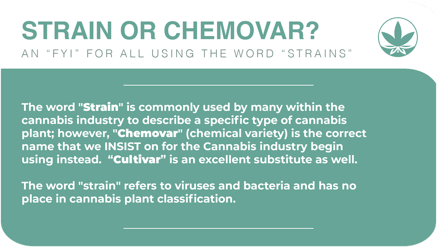 An important guideline that states the following, 'the word "strain" is commonly used by many within the cannabis industry to describe a specific type of cannabis plant; however, "chemovar" (chemical variety) is the correct name that we insist on for the cannabis industry begin using instead. “cultivar” is an excellent substitute as well. The word "strain" refers to viruses and bacteria and has no place in cannabis plant classification. ' shown in white font on a green flash card.