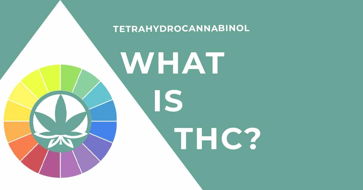 White pyramid on teal background with the words, 'Tetrahydrocannabinol, What Is THC?' placed in the middle.