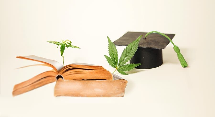 Cannabis book on tan background with graduation hat and green tassel.