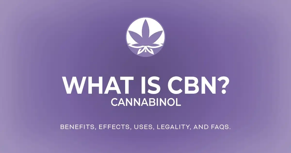 The words 'What is CBN? The benefits, effects, uses, legality, and FAQs' are in white letters on a gradient purple lavender background next to the THCGummies.com logo.