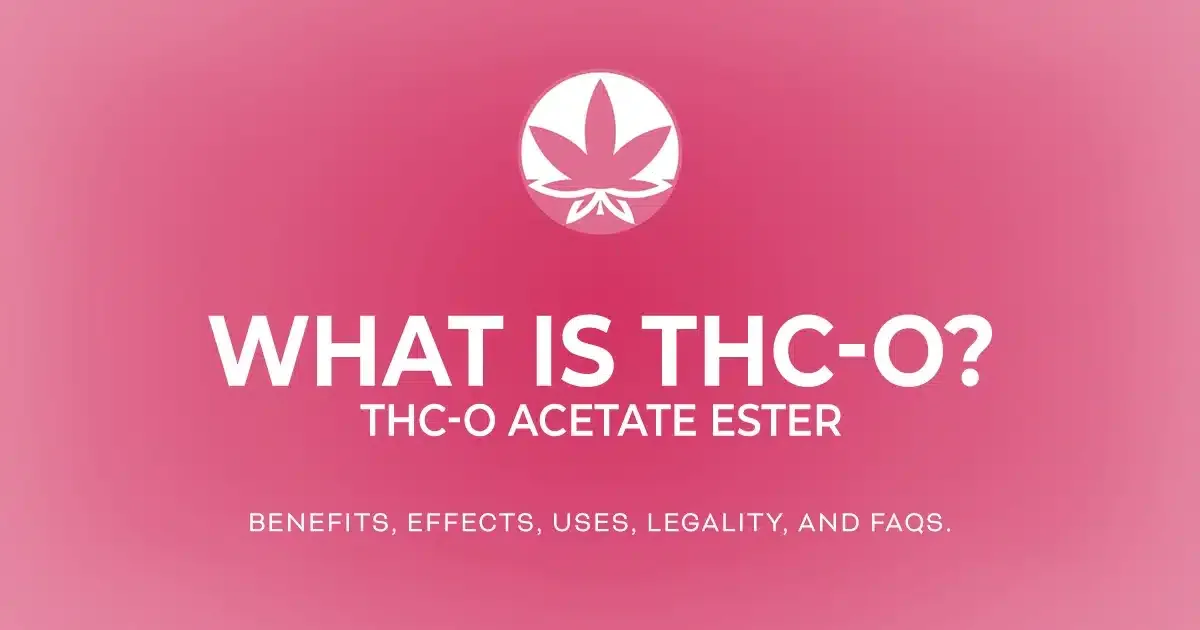 The words 'What is THC-O? The benefits, effects, uses, legality, and FAQs' are in white letters on a gradient pink background next to the THCGummies.com logo.