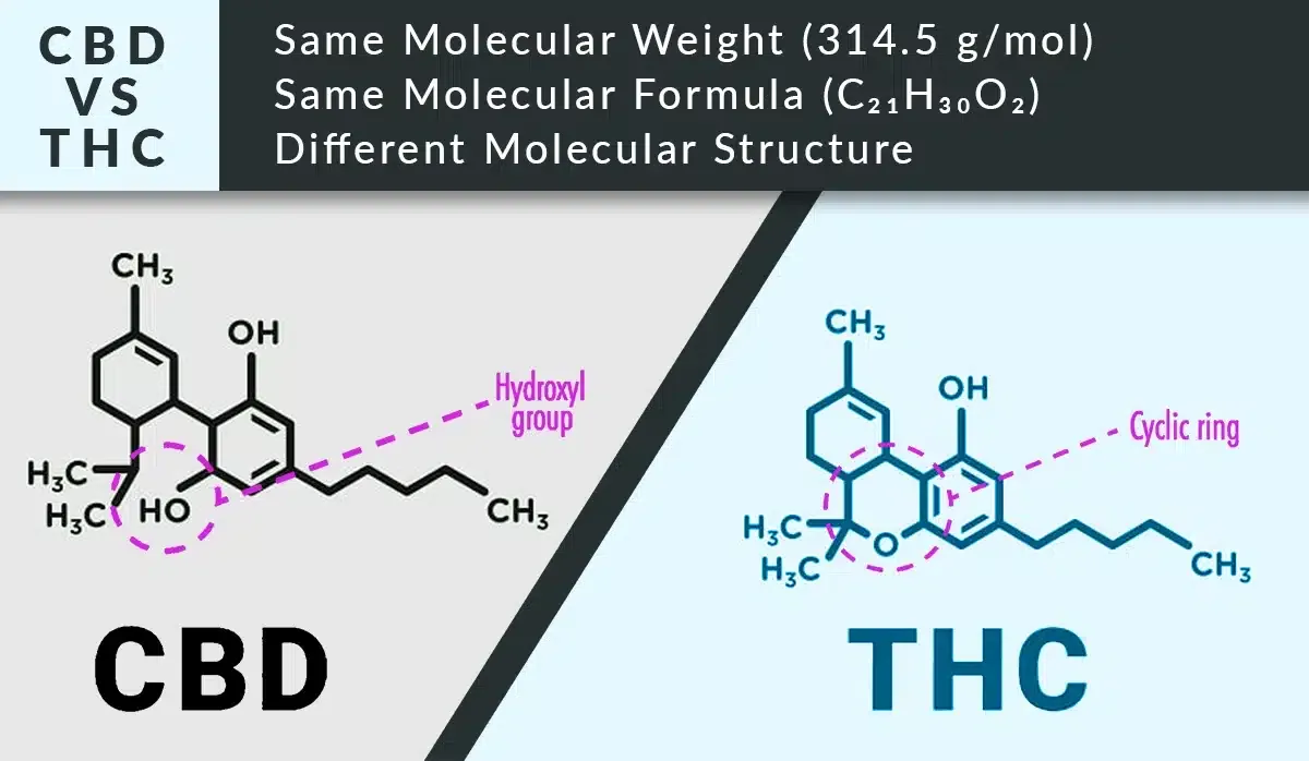 Cbd vs thc comparing molecular structure weight and formula by thcgummies. Com.