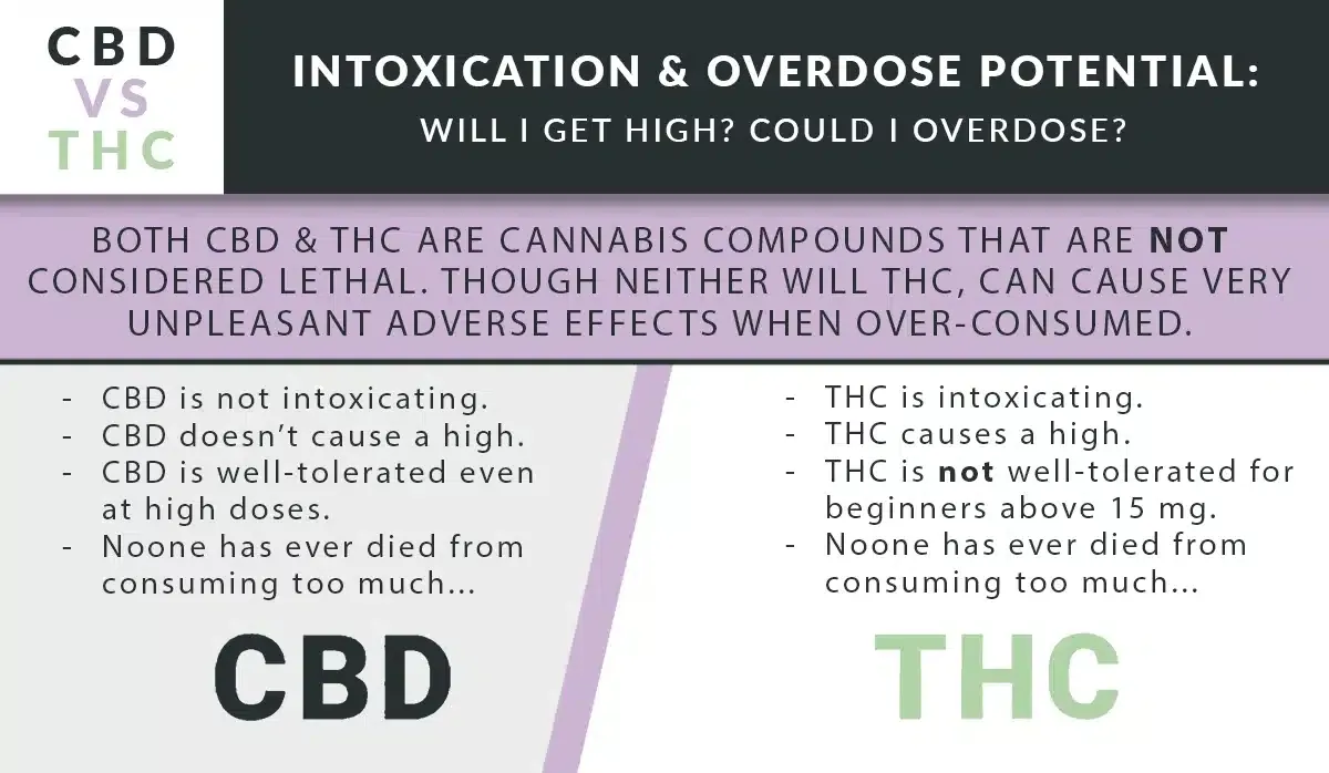 Cbd vs thc intoxication overdose by thcgummies. Com.