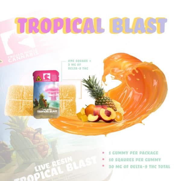 Infographic trojan horse cannabis live resin gummies, tropical blast flavor. This informative picture shows front and back of the product labels. It also has a organic tropical juice with several tropical fruits in the center next to the gummies to showcase and highlight the holistic nature, there is also dosing assistance and suggested use.